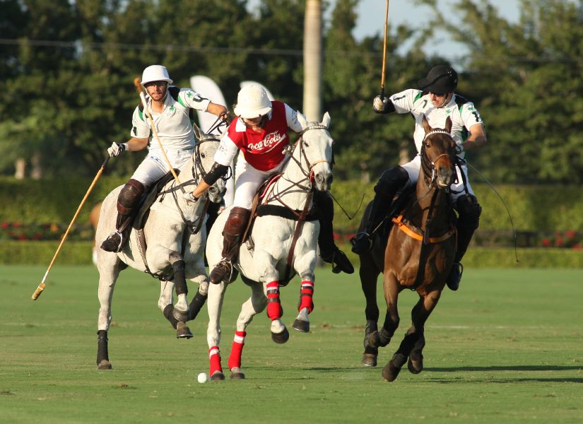 where can i watch a polo match