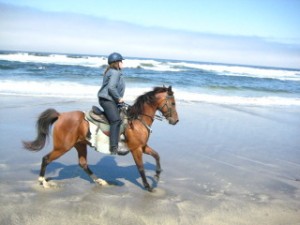 Nancy's horseback riding vacation
