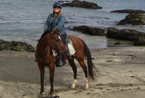 Nancy Brown on Arabian bay horse at Ten Mile Beach in Fort Bragg on the Mendocino coast, California. She is wearing a blue riding helmet, blue denim jacket and denim jeans in a western saddle. The Pacific Ocean and rocks are behind her with dark gray, wet sand on the beach. 