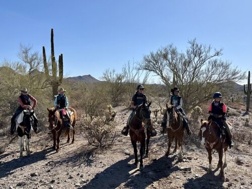 Five cowgirls on horseback in Arizona's Sonoran Desert. All are wearing Western attire. Three cowgirls are wearing cowboy hats, 2 riders are wearing riding helmets. Saguaro cactus is behind the two equestrian ladies on the right.