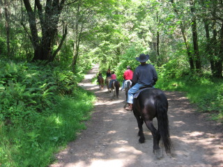 Horseback Riding Vacation at Five Brooks Ranch