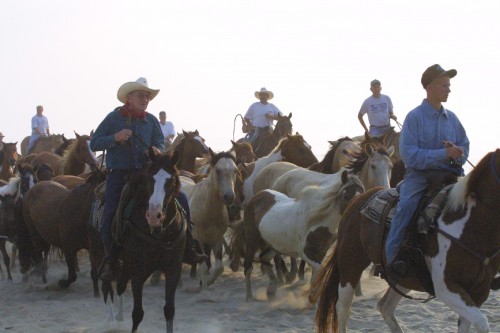 Saltwater Cowboys on a horseback riding vacation on Chincoteague Island, Virginia