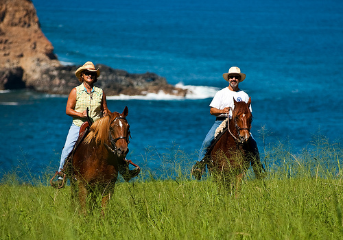 Horseback Riding Vacation with Hawaii Paso Finos on Kohala Coast
