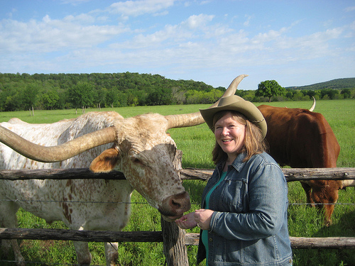 Travel Writer Nancy D. Brown feeds Texas Longhorn "Big Boy" during a horseback riding vacation in Texas