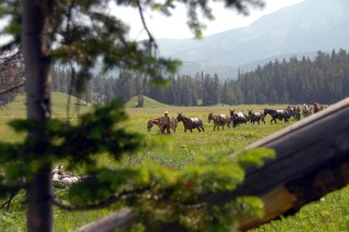 Spanish Peaks Pack String on a Horseback Riding Vacation in Big Sky, Montana