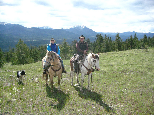 Bring your own horse on horseback riding vacation at Big Bar Guest Ranch