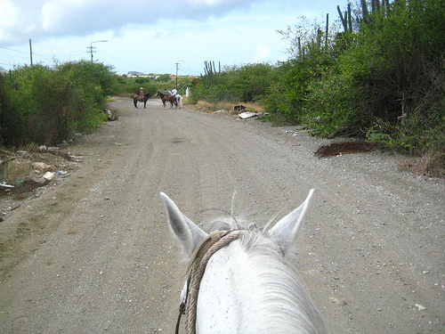 Rusted bed frames and bags of garbage flanked the road during our Curacao horseback riding vacation