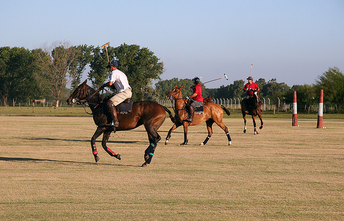 From beginners to experienced equestrians - try a horseback riding vacation at Capilla Polo Club in Argentina