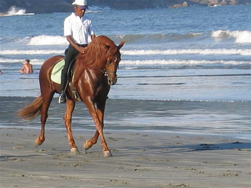 Horseback riding on the beach in Suzano, Brazil with Tonico of Sucandi Farm