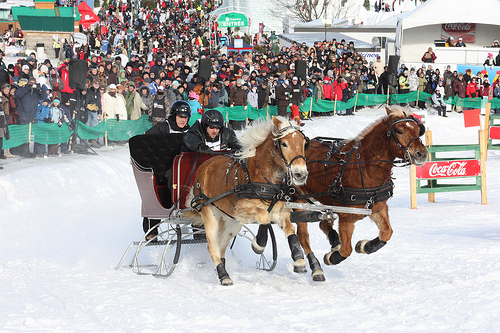 St-Huber Double Sleigh Race Carnival de Quebec