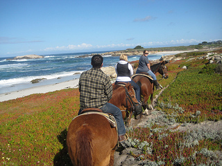 "Horseback riding Pebble Beach"
