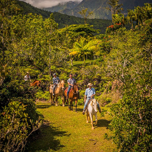 silver falls ranch, kauai, hawaii, horseback riding