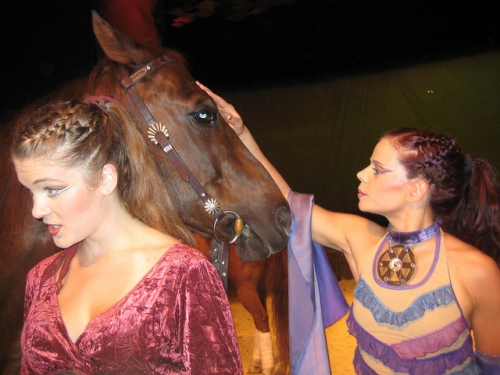 cavalia, horse show, cavalia behind the scenes