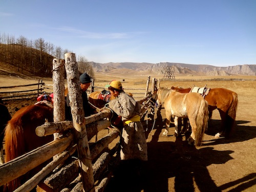 Preparing for our horseback ride to Turtle Rock in Mongolia