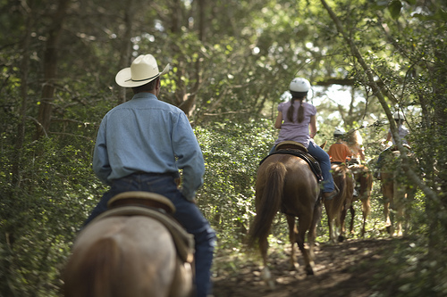Horseback Riding vacation at Hyatt Lost Pines in Texas