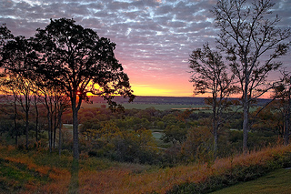 Enjoy a sunrise looking onto Wolfdancer at Hyatt Lost Pines Resort and Spa in Texas.