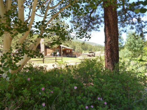 Visit North Fork Ranch for a Colorado horseback riding vacation