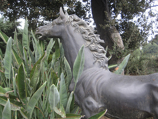 "Bronze Horse"