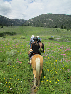 Montana horse riding