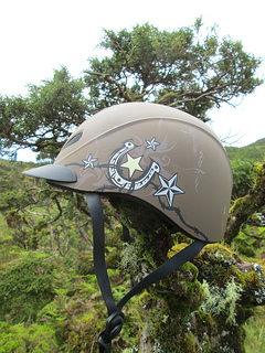 Troxel Rebel Helmet