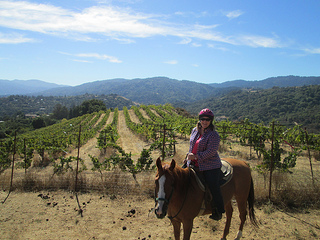 Garrod Farms, horseback riding