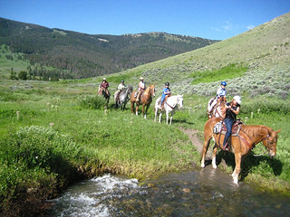 horseback riding, "Yellowstone Park"