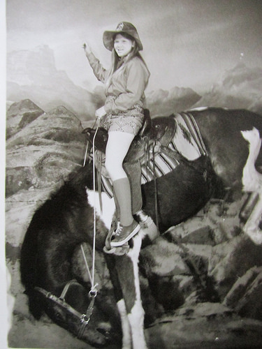 "Nancy D. Brown" horse