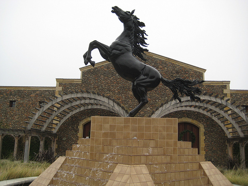 "Black Stallion Winery" winery