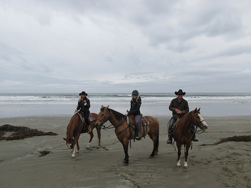 "Outback Trail Rides" Cayucos, California 