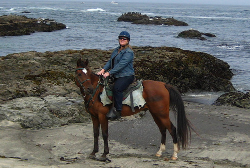 "Nancy D. Brown" "equine travel expert"