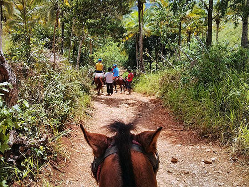 horseback riding, "Punta Cana"