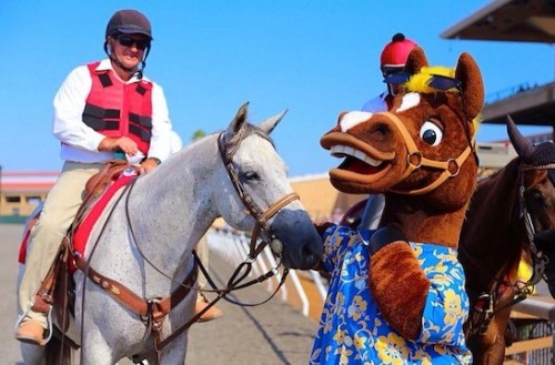 "Del Mar Racetrack" horses
