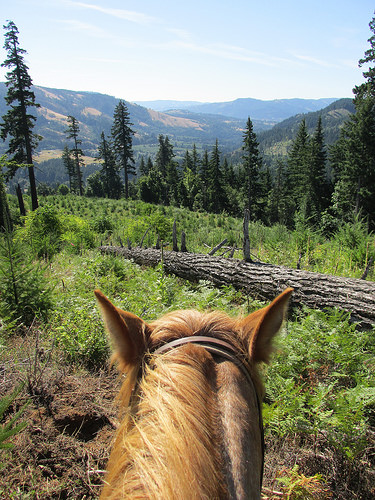 horseback riding "Columbia Gorge" washington