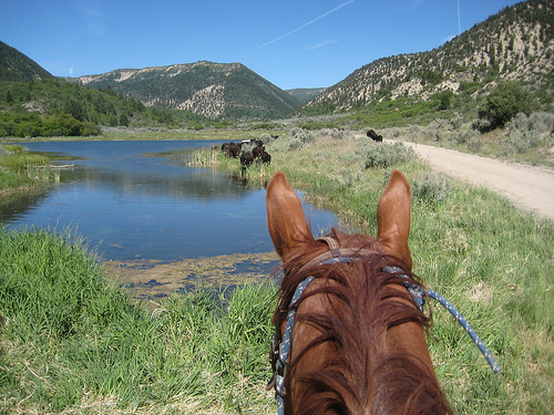 horseback riding "western Colorado"
