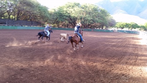 "Reyn Dudoit" "Kapualei Ranch" Hawaii