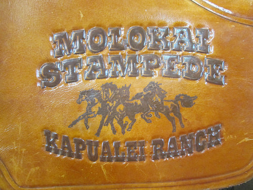 "Molokai Stampede"