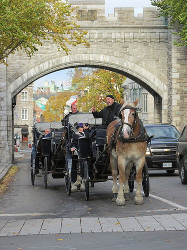 "Porte St. Louis", Quebec, Canada, horse, carriage