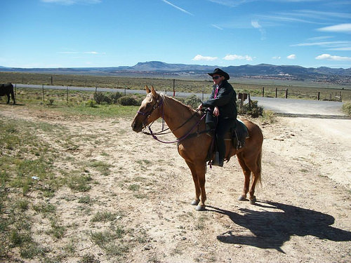horse, Sherry Bedard, Utah
