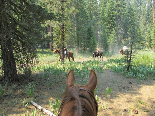 Alpine Meadows Stables, horseback riding, Lake Tahoe
