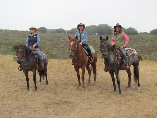 Carmel Valley Trail Rides, Carmel Valley Ranch, horseback riding, trail ride
