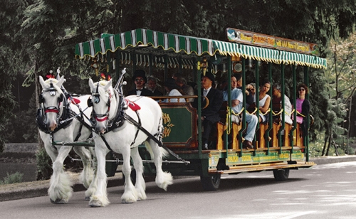 horse carriage, stanley park, vancouver