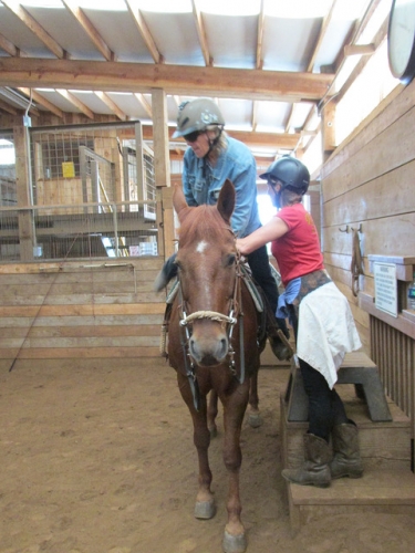 joint replacement, range of motion, horseback riding