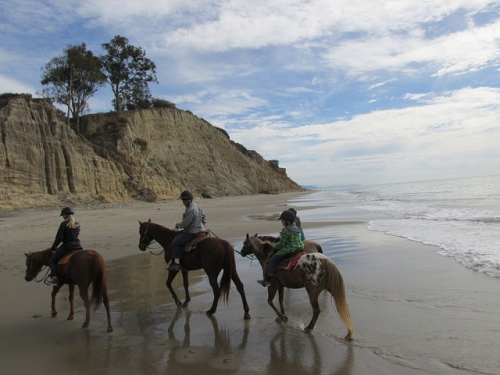 trail ride, beach ride, horseback ride