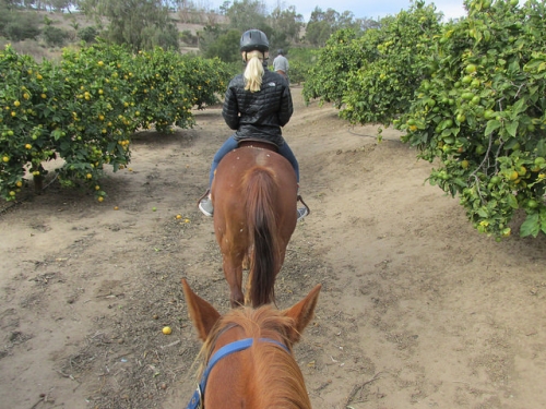 horseback riding vacation, santa barbara, trail ride