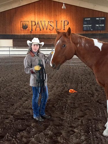 stacy westfall, the resort at paws up, cowgirl, western horsemanship