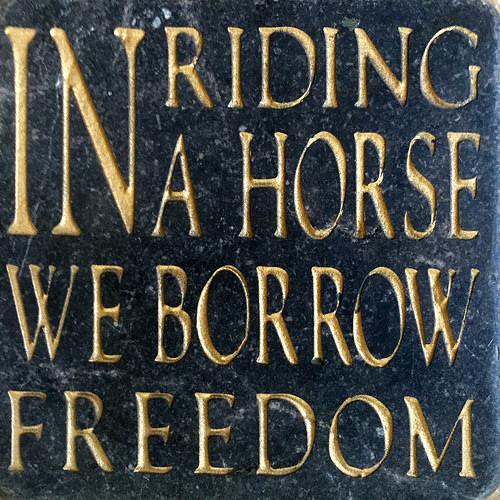 "in riding a horse we borrow freedom, helen thompson quote, wild horses, horse quote