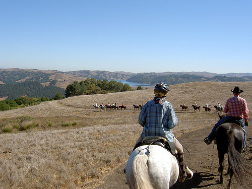 east bay hills trails ride, east bay hills, horseback ride, trail ride, northern california