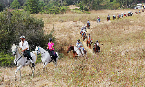 east bay hills trails, east bay hills trail ride, east bay horseback ride,