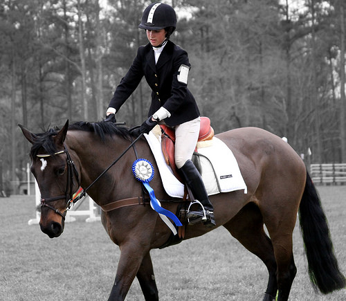 mental toughness, horse, horse show, equestrian, competition