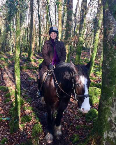 woodland trek, horse trekking, irish forest, horse riding, nancy d. brown, horse riding county clare, ireland horse trekking